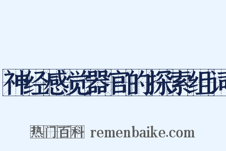 神经感觉器官的探索组词是什么意思的图片